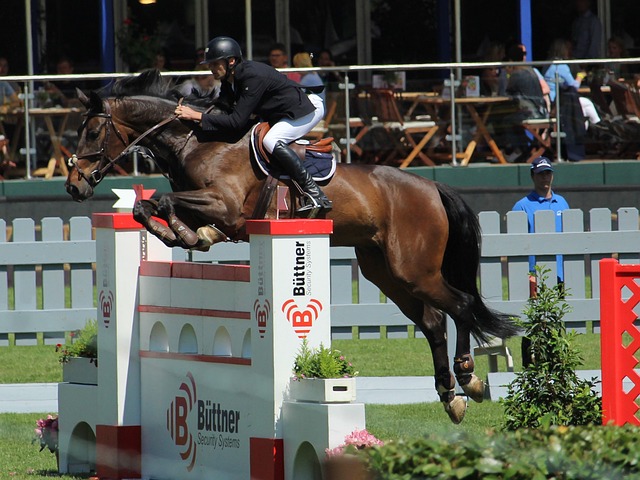 定的进攻核 定的进攻核