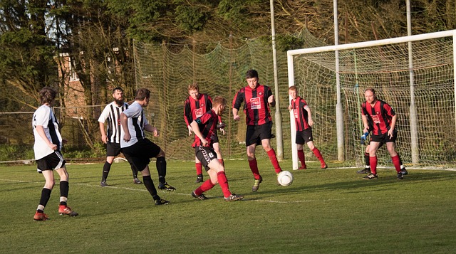 力的阵容 力的阵容