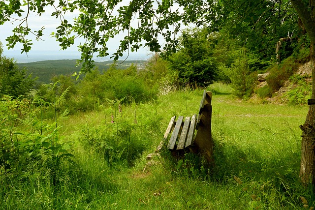 这一事件不 这一事件不
